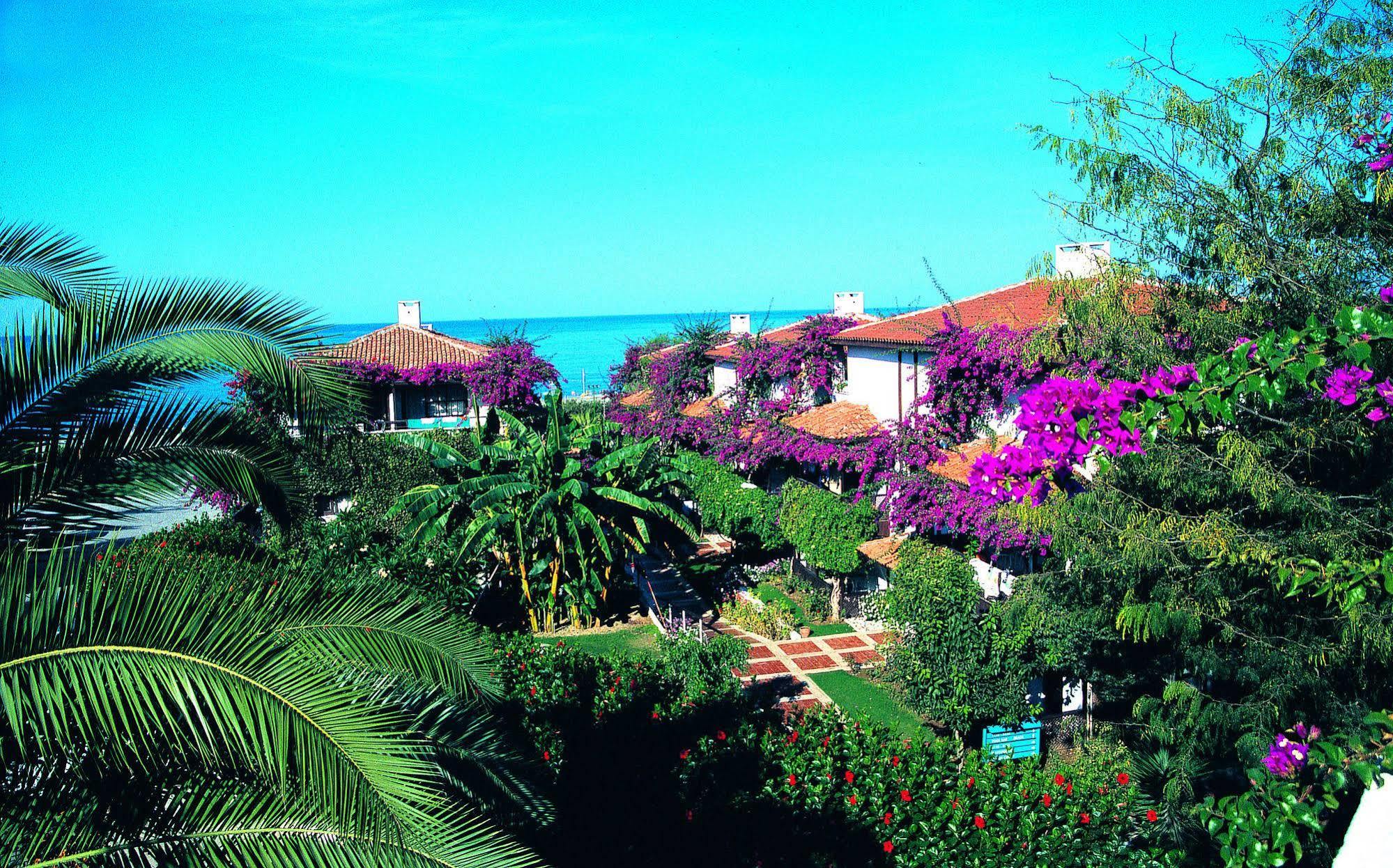 Titan Club Hotel Ultra All Inclusive คาร์ยิจัค ภายนอก รูปภาพ